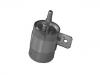 燃油滤清器 Fuel Filter:4638387